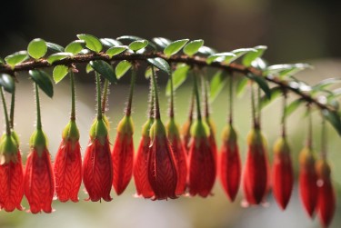 深圳龙岗区3私人快速借钱网，轻松解决资金难题