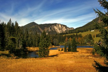 深圳龙岗区3民间私贷攻略：揭秘低成本借贷的秘密